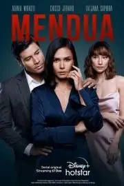 双宿单飞第一季 海报