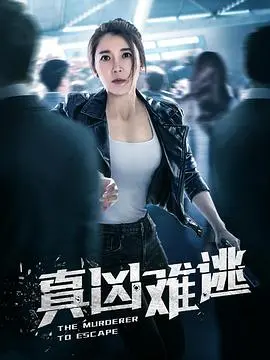 《真凶难逃》：迷雾重重的真相，谁是幕后真凶？