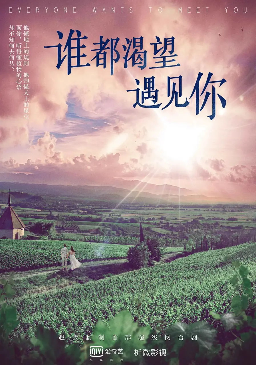 《谁都渴望遇见你》：当爱情遇上失忆，一场命中注定的纠葛与救赎之旅